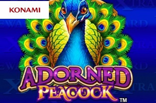 Adorned Peacock