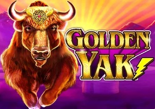 Golden Yak